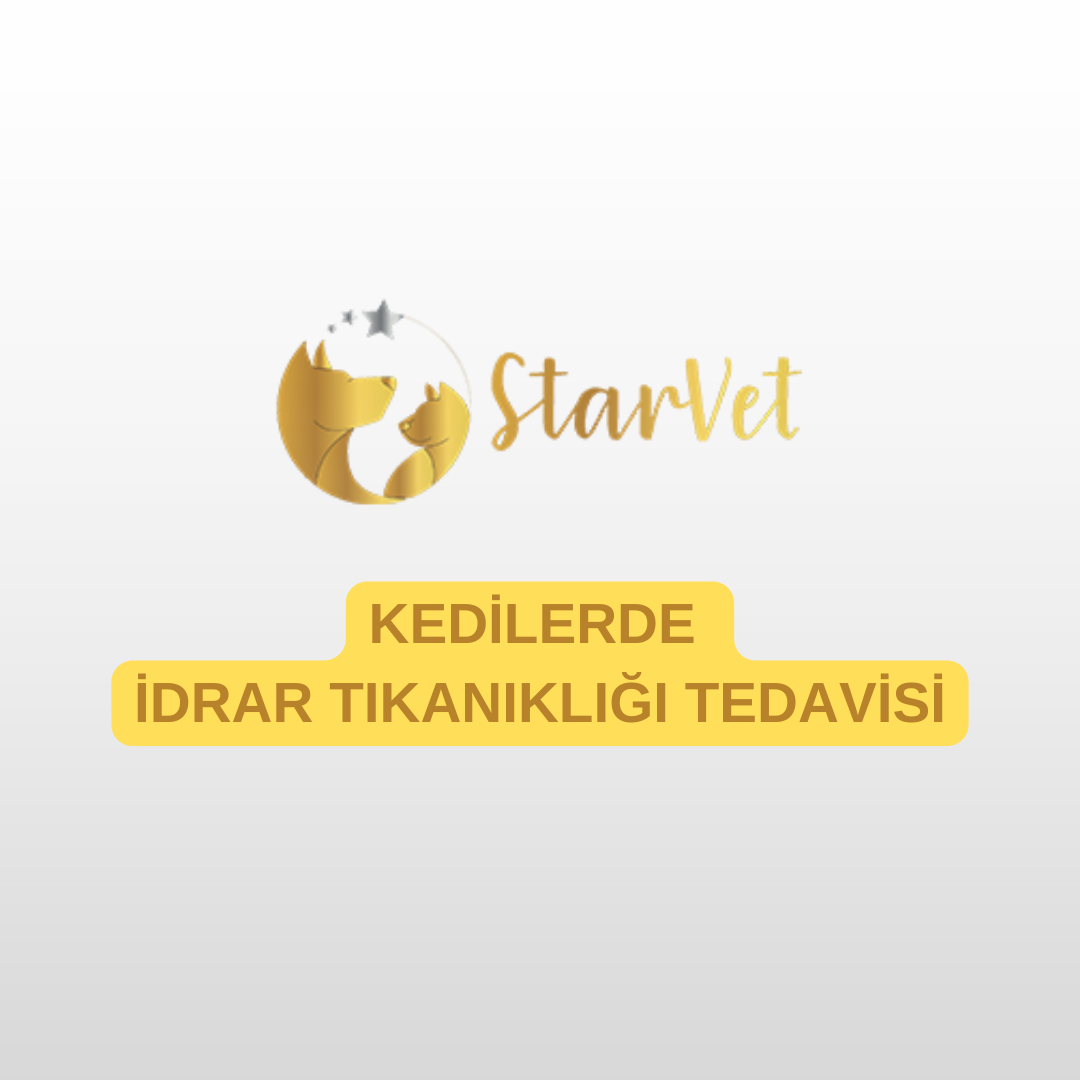blog-image