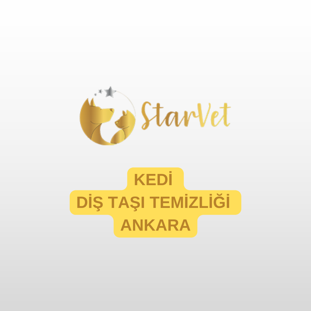 blog-image