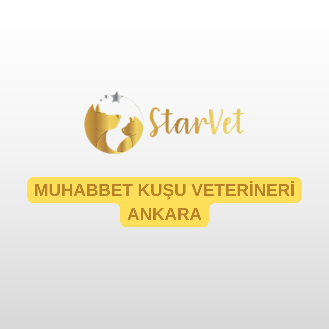 blog-image