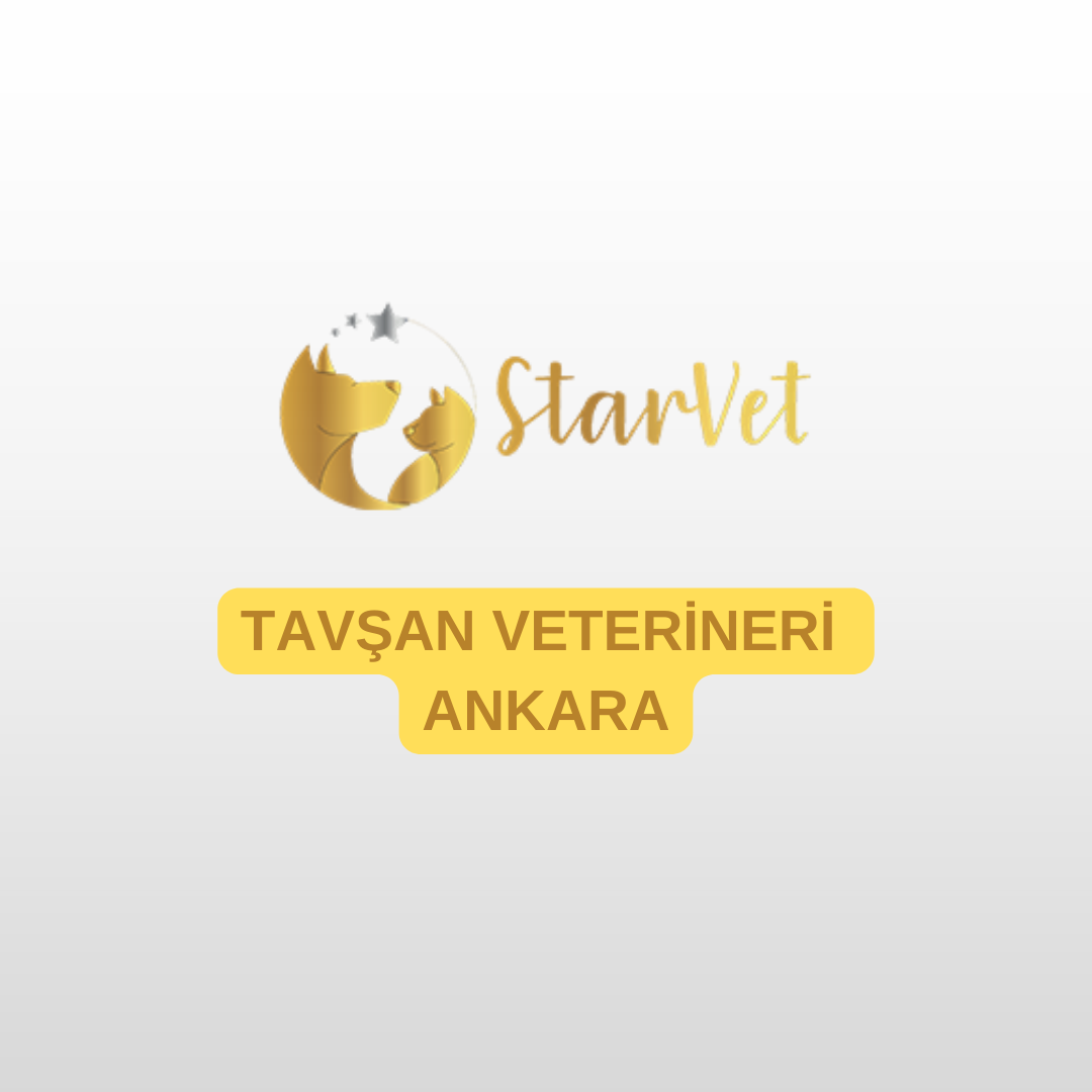 blog-image