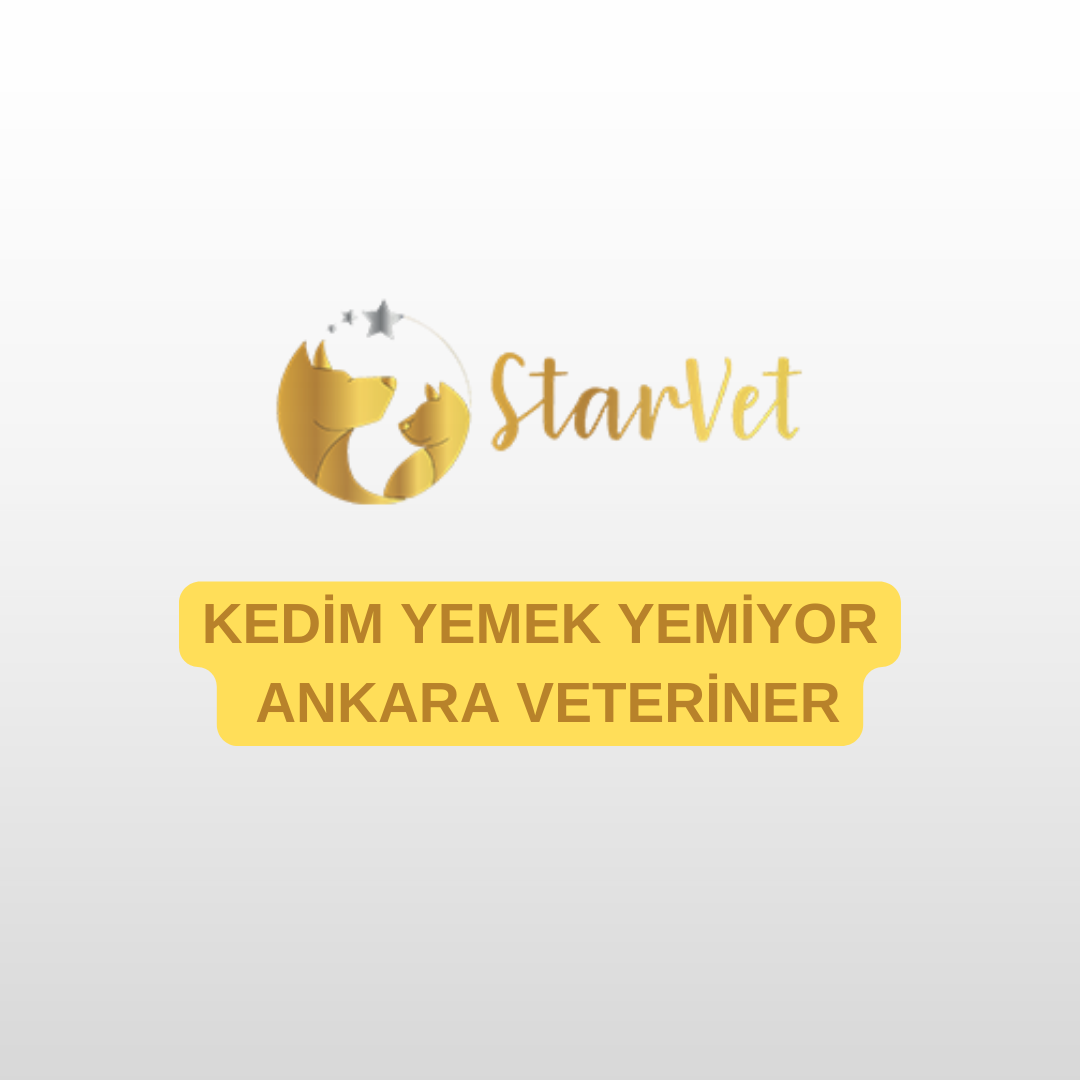 blog-image