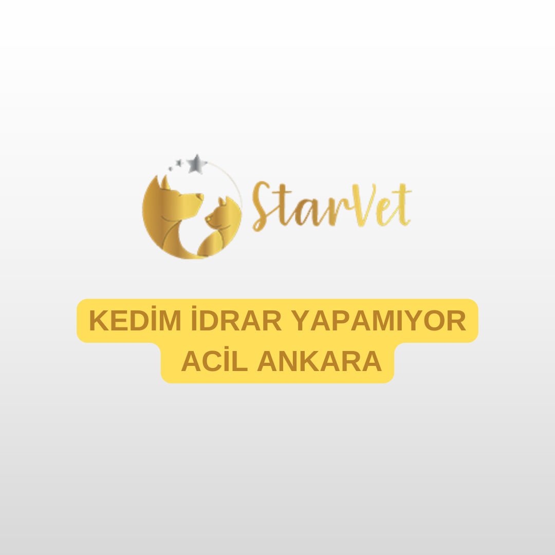 blog-image