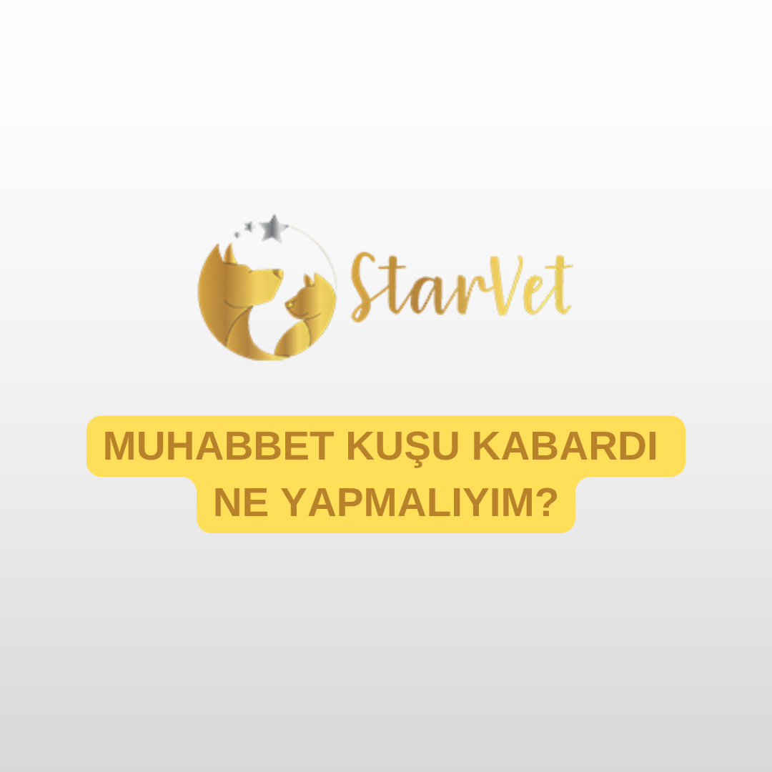 blog-image