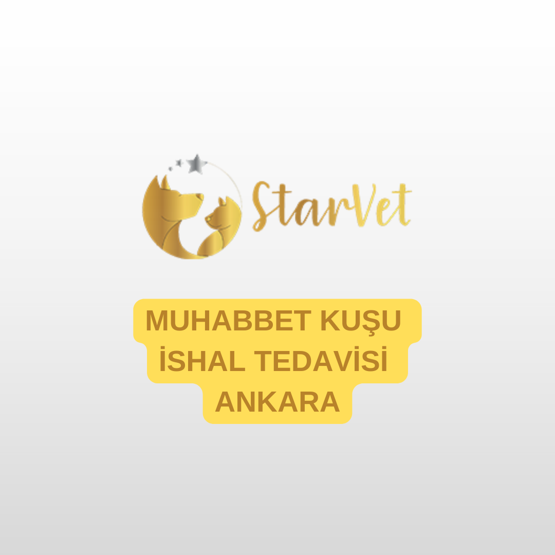 blog-image