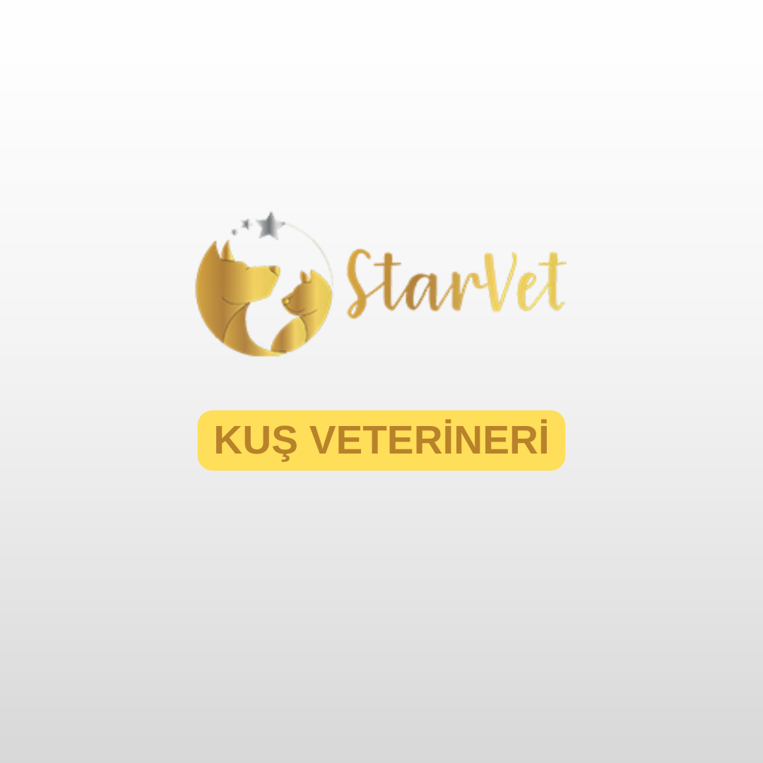  Kuş Veterineri