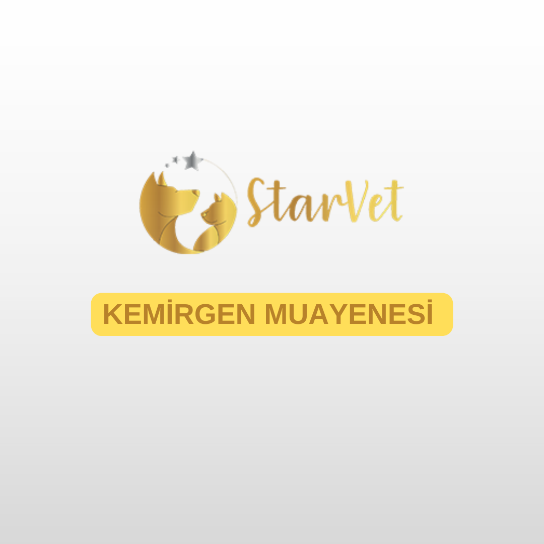  Kemirgen Muayenesi