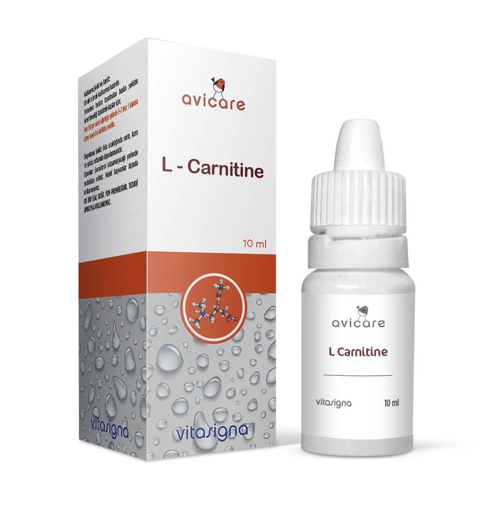 Avicare L-Carnitine 10 ml Sıvı