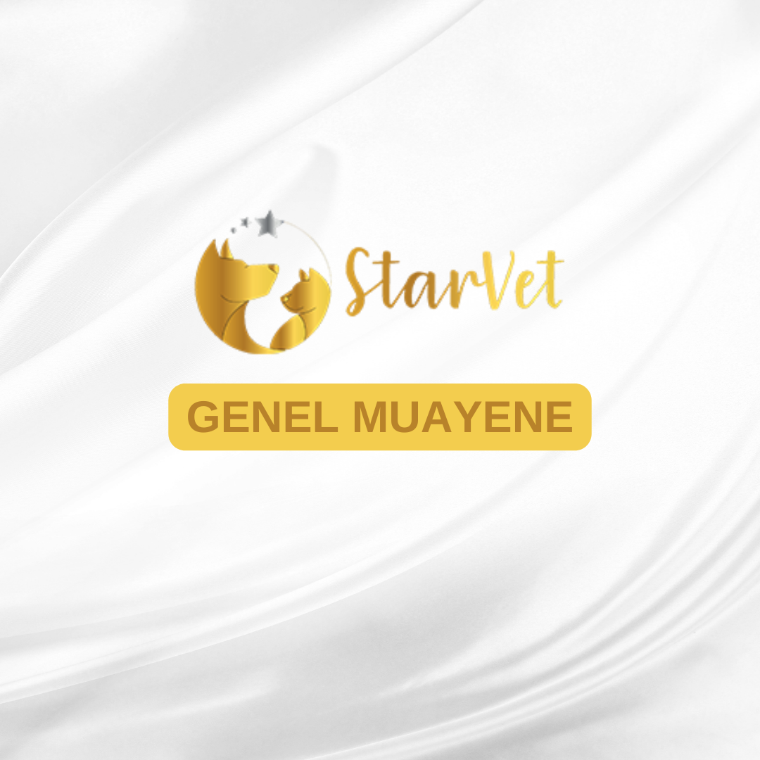  Genel Muayene