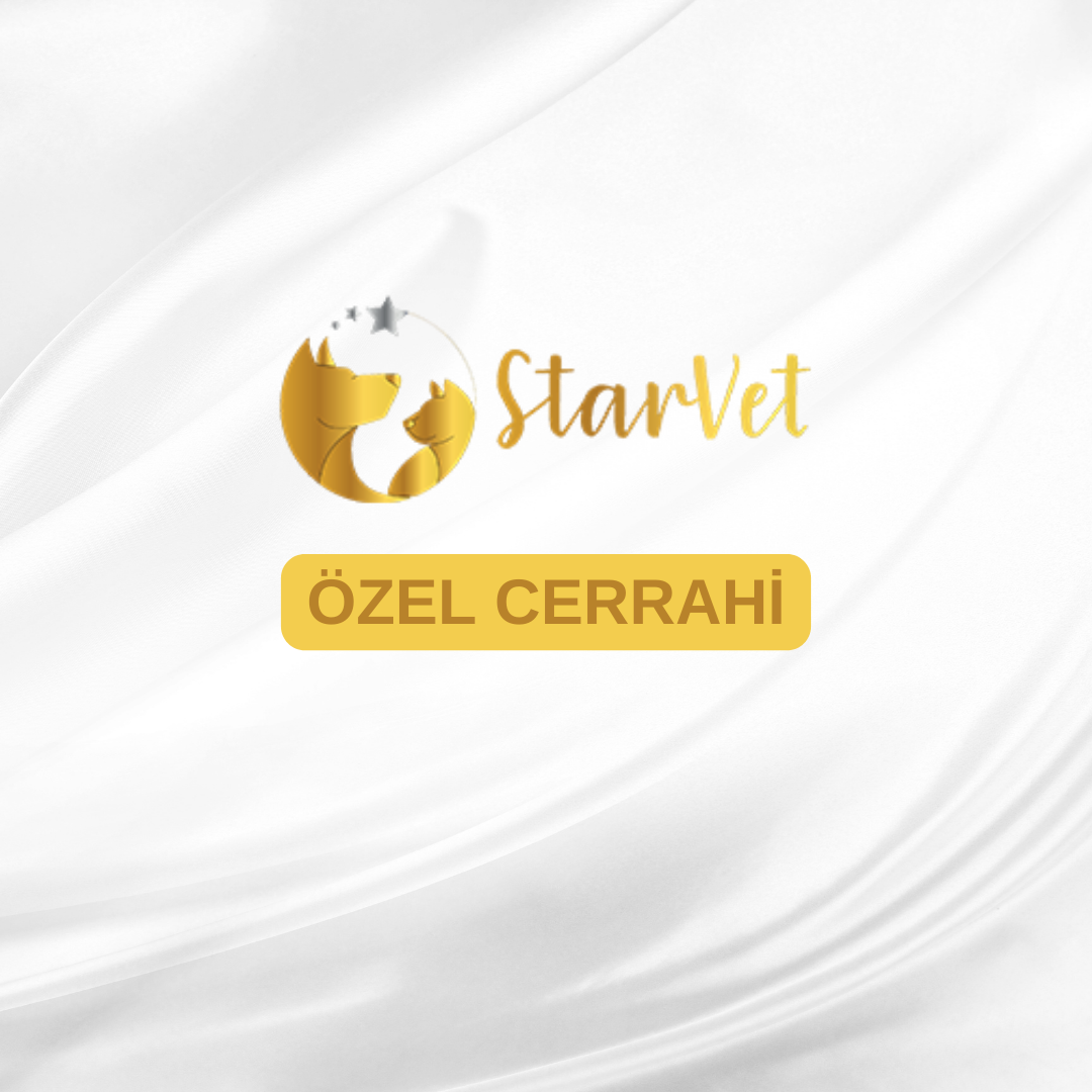  Özel Cerrahi