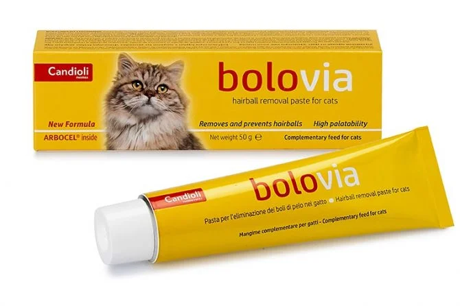 CANDİOLİ BOLO VİA MALT