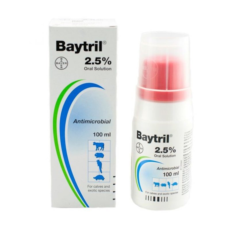 Baytril 25 mg/ml Enjeksiyonluk Çözelti
